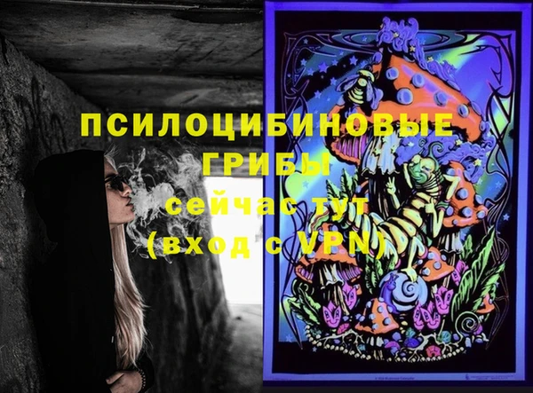 ГАЛЛЮЦИНОГЕННЫЕ ГРИБЫ Надым