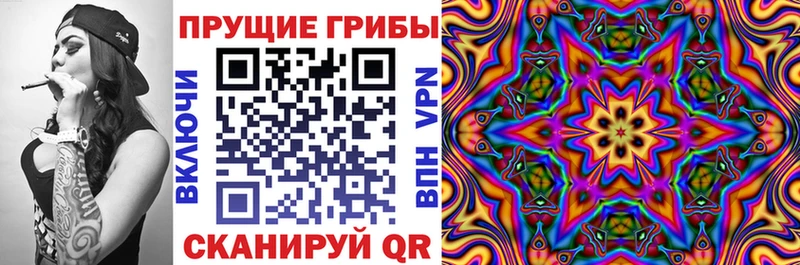 цена   Екатеринбург  Псилоцибиновые грибы MAGIC MUSHROOMS 